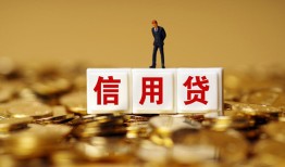 成都青白江区哪里可以民间借贷-成都青白江区私人借钱当天拿钱-成都青白江区贷款联系电话