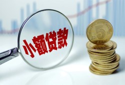 成都青白江区正规短借-成都青白江区民间借贷无视黑白-成都青白江区身份证办理贷款