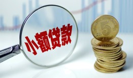 成都青白江区正规短借-成都青白江区民间借贷无视黑白-成都青白江区身份证办理贷款