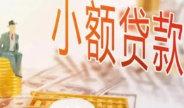成都青白江区民间小额借贷-成都青白江区身份证贷款电话-成都青白江区大学生信用贷款