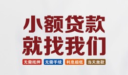 成都青白江区小额短借-成都青白江区私人借贷平台-成都青白江区个人借钱