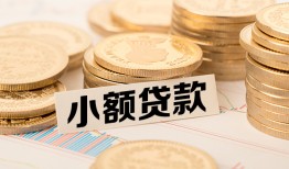 成都青白江区哪里有小额贷款-成都青白江区身份证贷款平台-成都青白江区民间短借