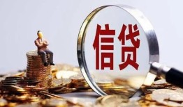成都青白江区个人借贷私借-成都青白江区个人贷款联系电话-成都青白江区身份证借私借