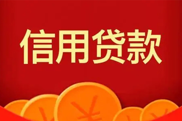 成都青白江区个人私借