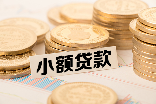 成都青白江区哪里有小额贷款